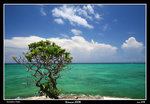 PS_Okinawa_4778_RS