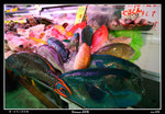 PS_Okinawa_5392_RS