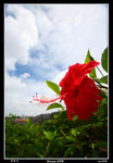 PS_Okinawa_5568_RS