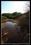 PS_PakTamChung_1551_RS
