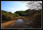 PS_PakTamChung_1554_RS