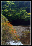 PS_PakTamChung_1565_RS