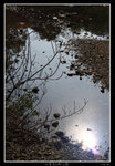 PS_PakTamChung_1569_RS