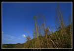 PS_PakTamChung_1581_RS