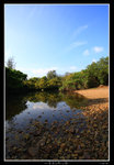 PS_PakTamChung_1594_RS