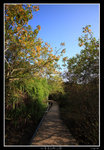 PS_PakTamChung_1636_RS