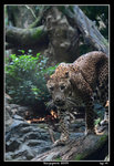 PS_Singapore_0195_RS