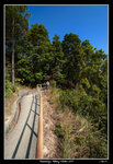 Kennedys_Hiking0007_RS
