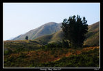Kennedys_Hiking0011_RS