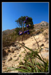 Kennedys_Hiking0017_RS