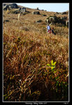 Kennedys_Hiking0032_RS