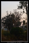 PS_Nam_Sang_Wai_0009_RS