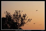 PS_Nam_Sang_Wai_0010_RS