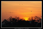 PS_Nam_Sang_Wai_0018_RS