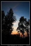 PS_Nam_Sang_Wai_0022_RS