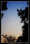 PS_Nam_Sang_Wai_0024_RS