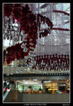 PS_Catlin_Karis_Xmas09_0002_RS