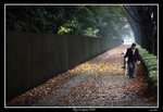 PS_Tokyo_Karuizawa_0024