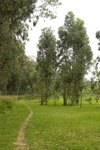 IMG_4789