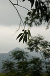 IMG_4792