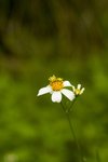 IMG_4799