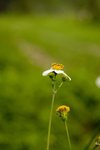 IMG_4801
