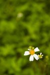 IMG_4802