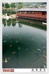 �Q���k�A�Ѻk�P�{�����j�Y��X�զ��A��ⰼ���䪺�����s���_�ӡC

