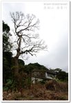 �����o�ΡA�N�M�M�����D
