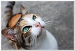 �ۿD���������ܦh�p�ߡA�鶡�]�X���ΤӶ��A�ߤW�N�|�ۤv��f�h�Τl��