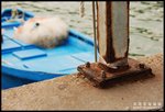 DSC_0018