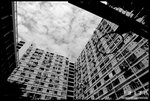 DSC_0729
