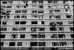 DSC_0732