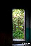 DSC_0305