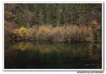 DSC_0338s