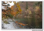 DSC_0348s