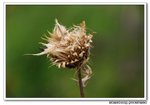 DSC_0428s