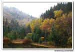 DSC_0788s