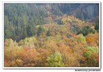 DSC_0819s