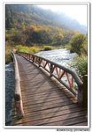�ï]�y���p���A�t�W��@������O�ܬ���