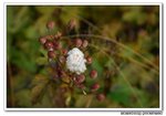 DSC_0833s