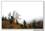 DSC_0164s