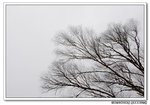 DSC_0165s