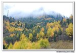 DSC_0194s
