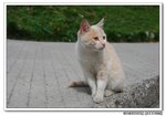 DSC_0270s