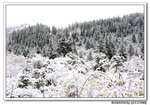 DSC_0646s