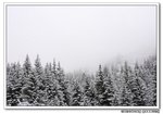 DSC_0648s
