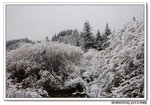 DSC_0659s