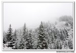 DSC_0663s