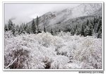 DSC_0679s